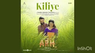 Kiliye (Malayalam) | ARM | #tovinothomas #malayalamcinema #malayalmfilmssong