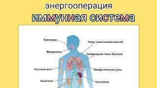 #энергооперация Иммунная система