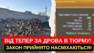 ЗА ДРОВА В ТЮРМУ!!НОВИЙ ЗАКОН! НАСМІХАЮТЬСЯ З НАРОДУ! ЗАКОН ПРИЙНЯТО! ВЛАДА КОРУПЦІОНЕРІВ!