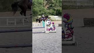 First time jumping Trevor in a line. #horse #horsemanship #naturalhorsemanship #horseriding #equus