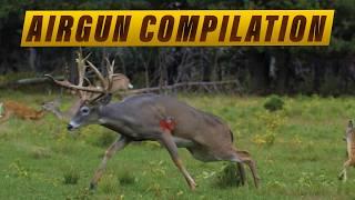 10+ Deer Taken with Air Guns!! | KILL SHOT COMPILATION