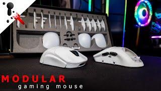 A modular gaming mouse is coming... Orbital PATHFINDER Preview