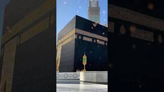 Noor Wala Aya Ha - Farhan Ali #islam #islamicshort #naat #viral #shortsviral #shorts