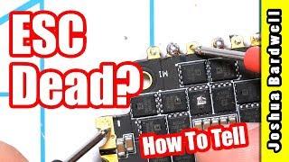 Is Your ESC Broken | HOW TO FIND OUT