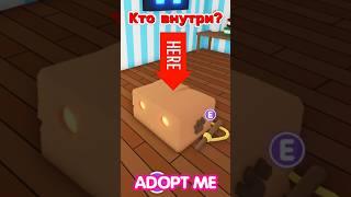 КТО ВНУТРИ?ОТКРЫВАЮ ПРИМАНКУ! Новое обновление в Адопт Ми! #adoptme  #news