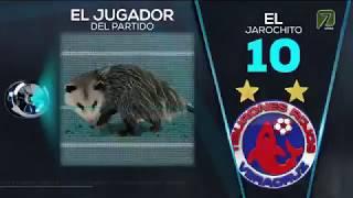 El Tlacuache | El jugador del partido Veracruz vs Puebla Clausura 2019