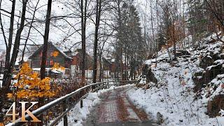 Braunlage in the Harz Mountains, Walking in the Rain, ASMR 4K