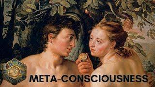 What is Meta-Consciousness? | Bernardo Kastrup & Jonathan Pageau