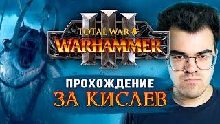 TOTAL WAR WARHAMMER 3 | Прохождение за Кислев ft. Травоман