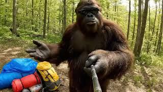 Bigfoot Tested Your Camping Gear. He Was Not Impressed.