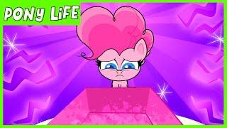 Pony Life | NEW | Pinkie Pie Laughter Moment - Kindness Day | MLP Pony Life