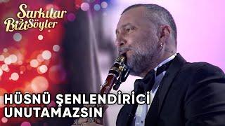 Unutamazsın - Hüsnü Şenlendirici | Şarkılar Bizi Söyler | Performans