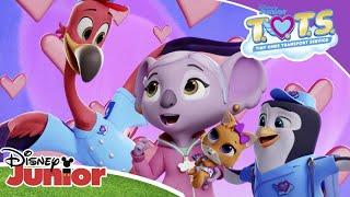 Music | ‍‍ T.O.T.S. | Disney Junior