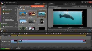 Pinnacle Studio Tutorial - Cropping and Zooming Videos