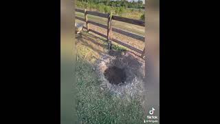 #tiktok #shz