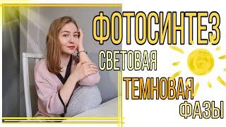 ФОТОСИНТЕЗ ЗА 4 МИНУТЫ||СВЕТОВАЯ/ТЕМНОВАЯ ФАЗЫ