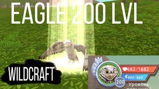 WildCraft / Прокачка орла до 200 уровня / Eagle leveling up to level 200