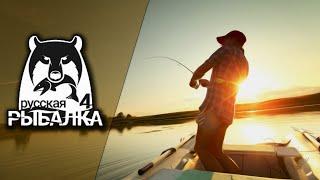 Russian fishing 4. Стрим#17/ СИГИ ЕСТЬ? А ЕСЛИ НАЙДУ?/ЛАДОЖСКОЕ ОЗЕРО