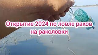 Открытие 2024 по ловле раков на раколовки . Ловля раков 2024 . Раколов . Раколовки . Раки . Рак 2024