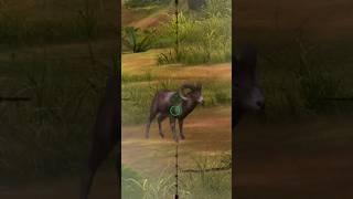 Hunting Altai argali in Africa forest #animals #viral #gaming