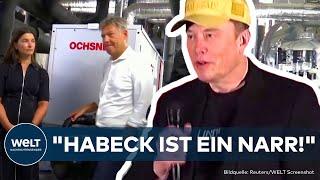 X: Habeck legt sich mit Musk an! "Gesellschaftliche Meinung manipuliert!"  Social Media regulieren?