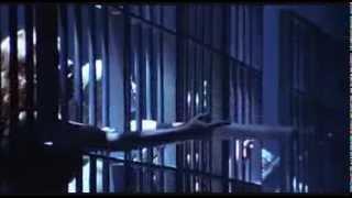 Cell Block Tango - Chicago