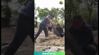 FORGET Machines! Watch This INSANE Manual Farm Labor!  #farming #oldschool #hardcore #strength