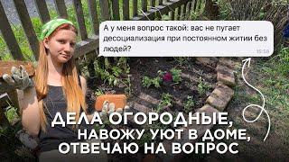 VLOG: живу одна в деревне без интернета. Тихие будни)
