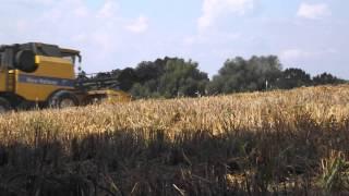 Żniwa 2014||John Deere|| New Holland|| HD