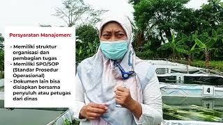 CBIB - CPIB RIBET ?! | Penjelasan ttg Cara Budidaya Ikan Yang Baik - Cara Pembenihan Ikan yang Baik