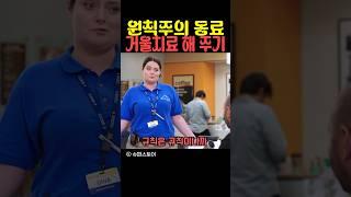 원칙주의 동료 거울치료