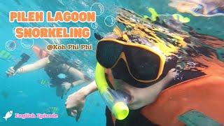 Snorkeling Tour with a million fish at Pileh Lagoon, Koh Phi Phi, Krabi province l English episode