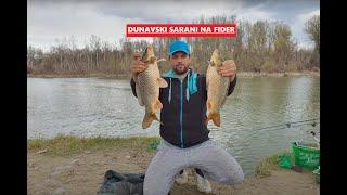 Saran u brzoj vodi - Pecanje na fider / Fishing Carps on River / fast water