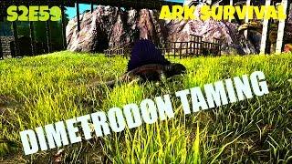 Dimetrodon Taming Guide | (E59) ARK: Survival Evolved