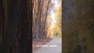 OCTOBER #guitar #music #audio #lyrics #song #ukraine #automobile #metal #october #mood #sad #trump