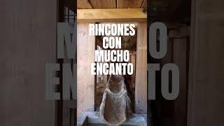 Rincones con mucho encanto - Ruta del Vino de Alicante