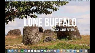 Introducing Lone Buffalo