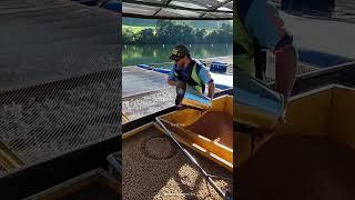 Most Amazing Fish Farming 