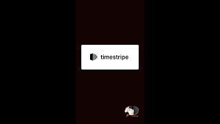  Stay Focused on the Big Picture with Timestripe