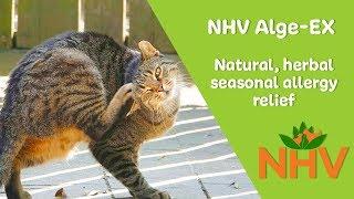 NHV Alge-Ex: For environmental allergies in dogs, cats and small animals
