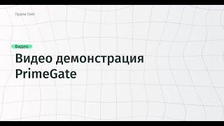 Видео демонстрация системы сквозной аналитики, коллтрекинга и DataLake/ PrimeGate.io