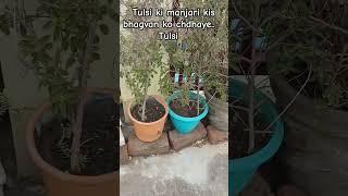 #upay #motivation #facts #gardening #terracegardenindia