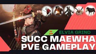 BDO| Maewha Succession PVE gameplay in Elvia Server | Black Desert Online