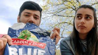 Garden of Eatin' Blue Corn Tortilla Professional Chip Review