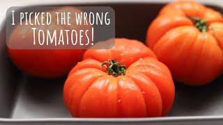 Provence style stuffed tomatoes (gone wrong!)