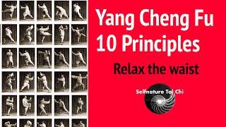 Yang Cheng Fu 10 Tai Chi Principles - Relax the waist