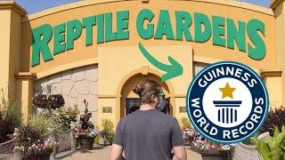 Visiting the LARGEST Reptile Zoo in the WORLD! | Reptile Gardens, largest reptile collection