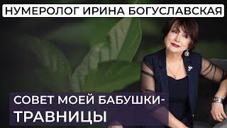 Это полезно/ Народная медицина/ О пользе осины/ Простой совет для хорошего здоровья