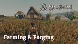 How to Play Life is Feudal: Your Own Pt. 3/5 Farming and Forging