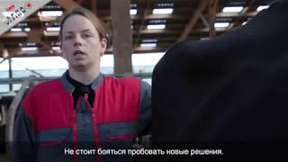 IMV Alphavision - как осеменаторы используют систему визуального осеменения
